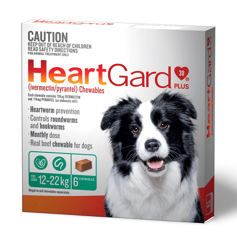 dog puppies for adoption near me