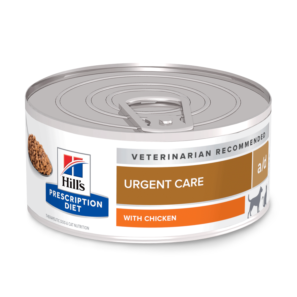 designer dog handbag