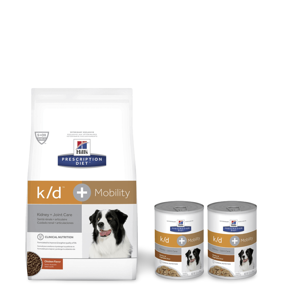 hills renal diet for dogs