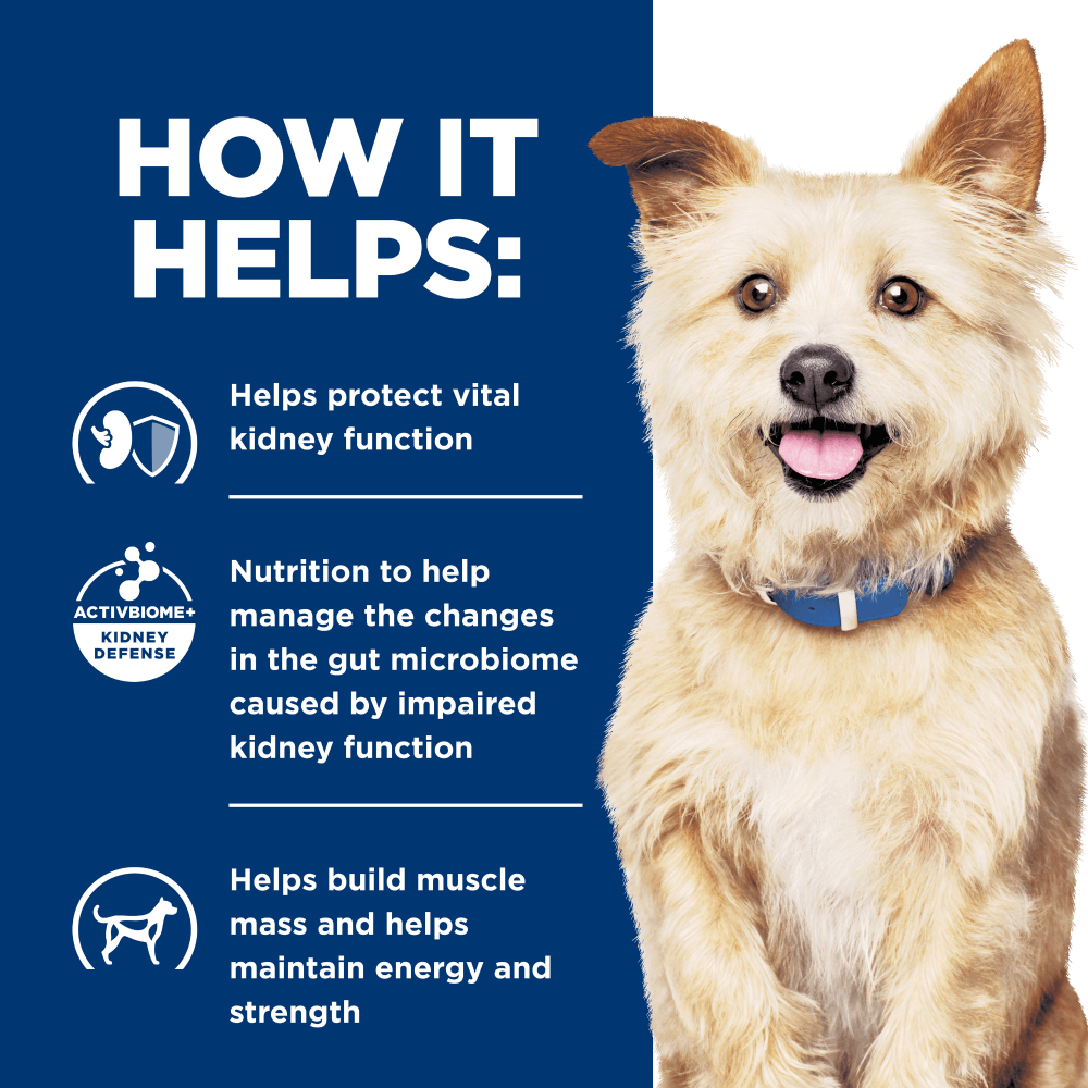 hills kidney care wet dog food