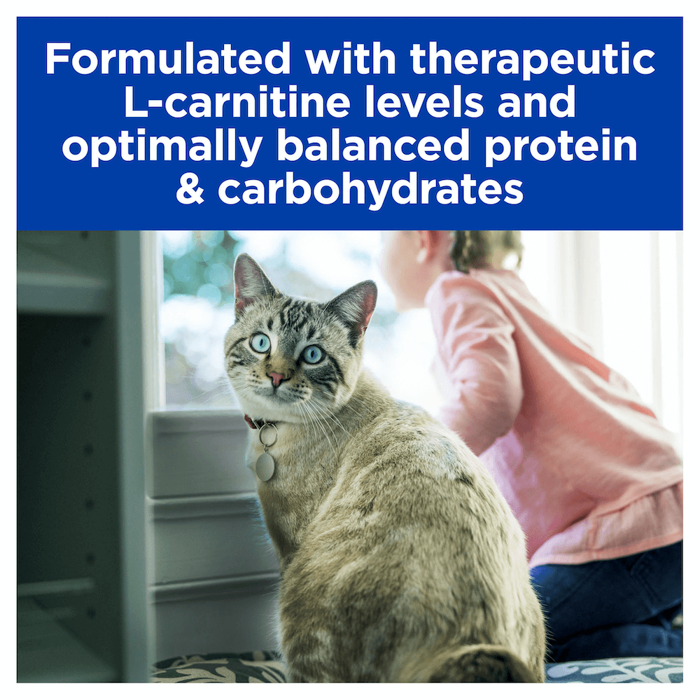 glucose management cat food