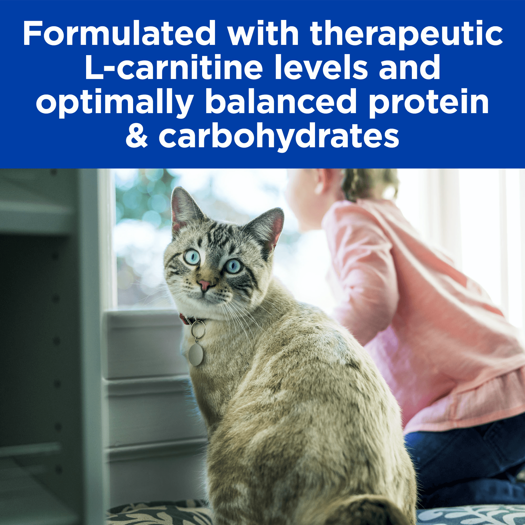 Buy Hills Prescription Diet Md Glucose And Weight Management Dry Cat