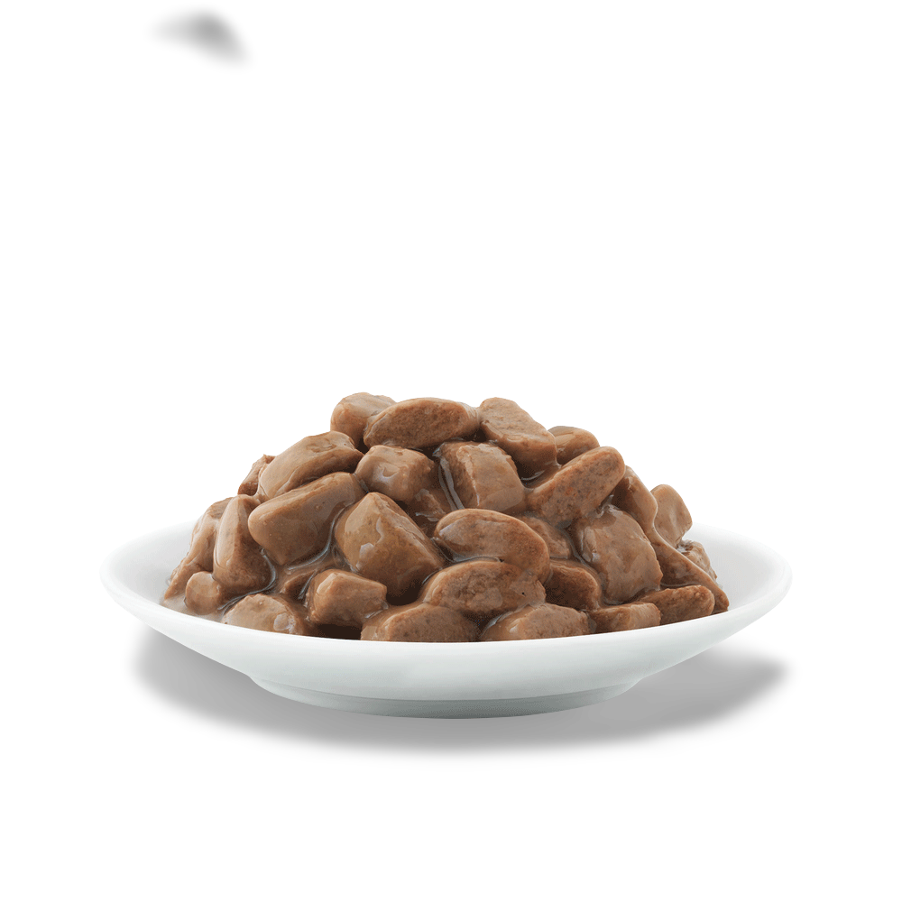 hills metabolic cat food pouches