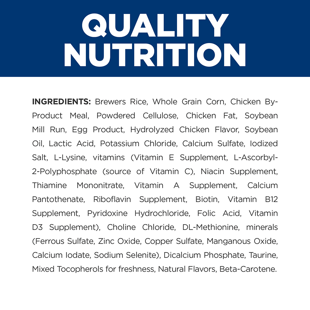 Buy Hills Prescription Diet Td Small Bites Dental Care Dry Dog Food