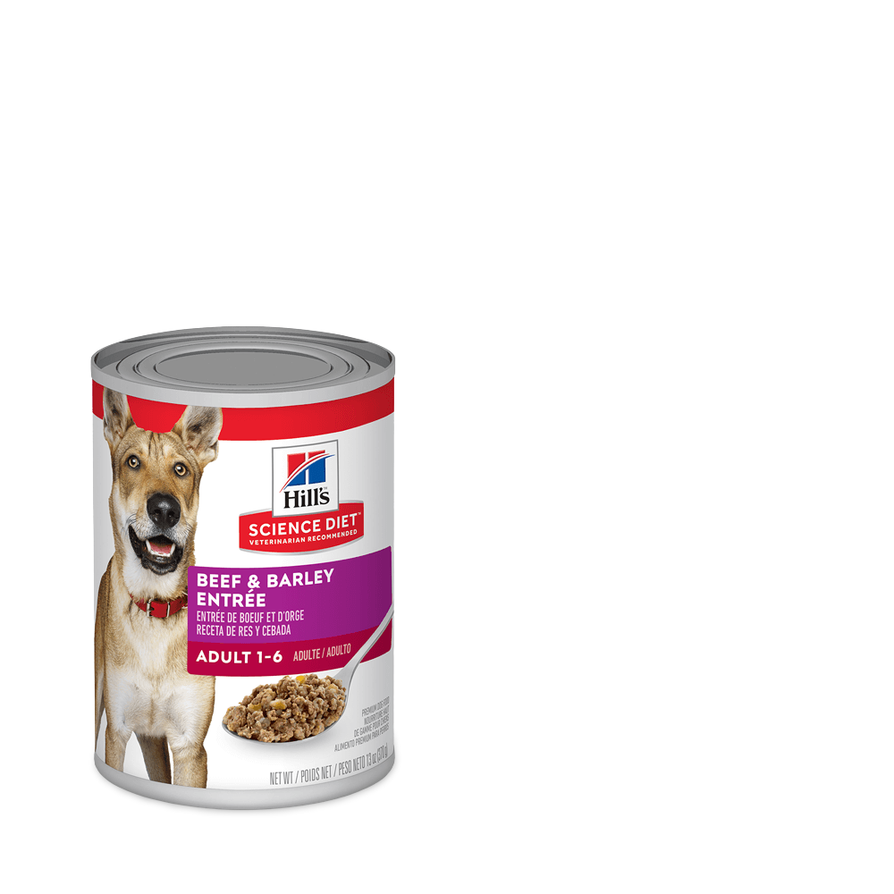 science diet beef and barley