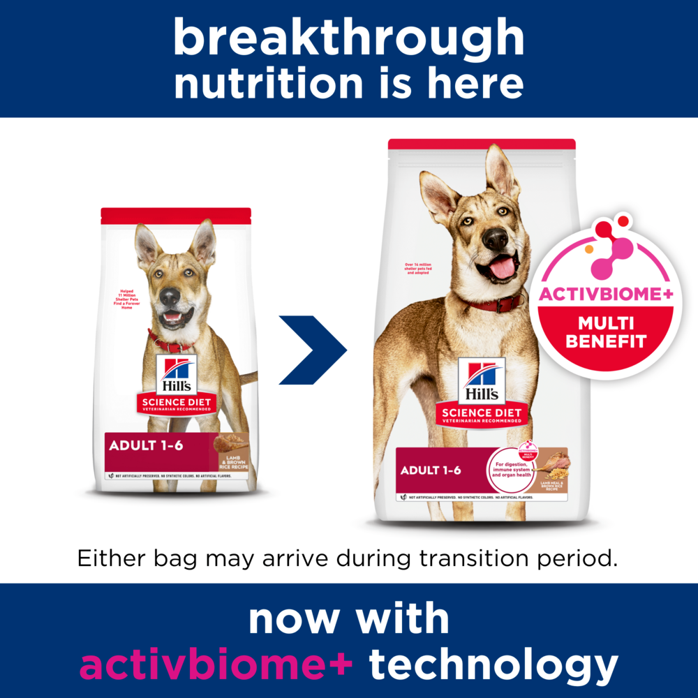hills diet for dogs