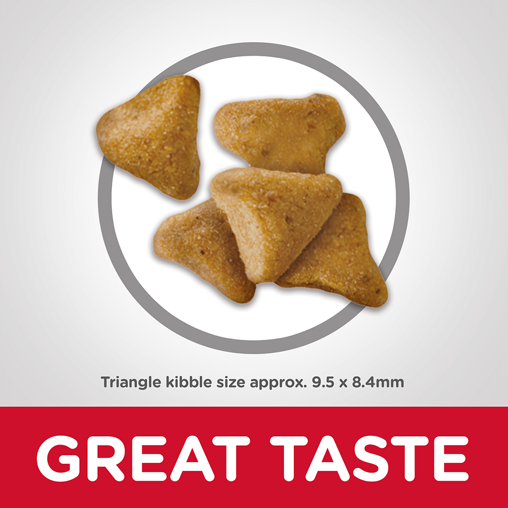 Buy Hills Science Diet Adult Hairball Control Dry Cat Food Online