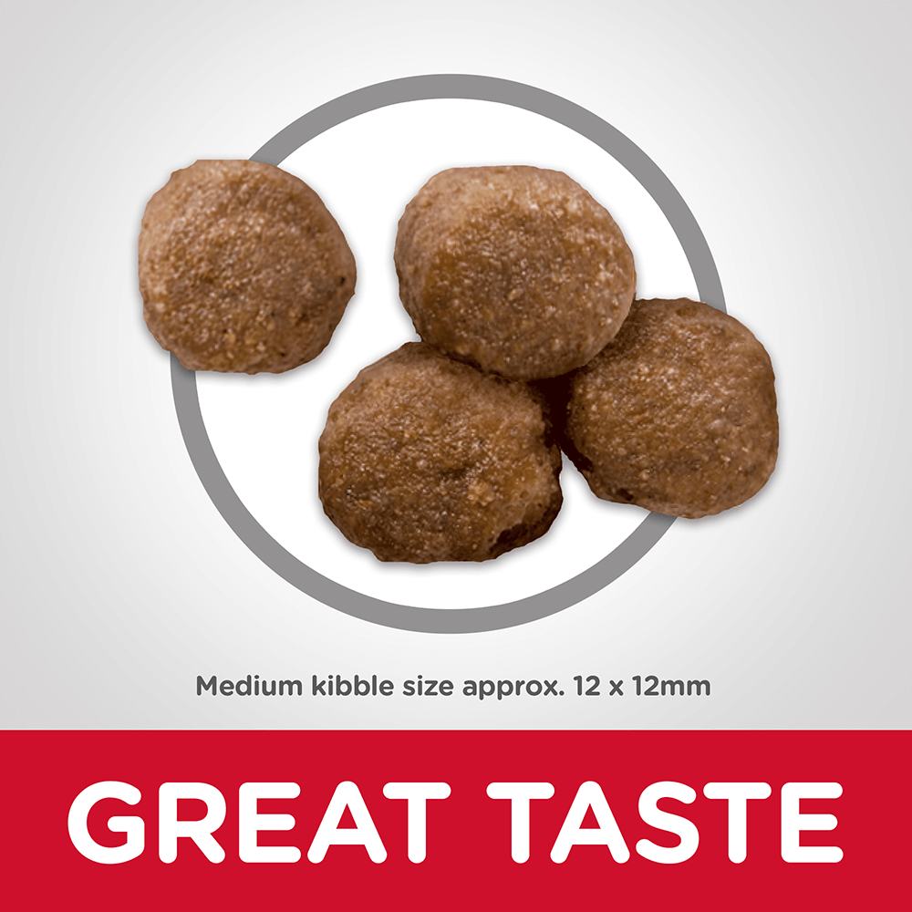 hills healthy mobility medium