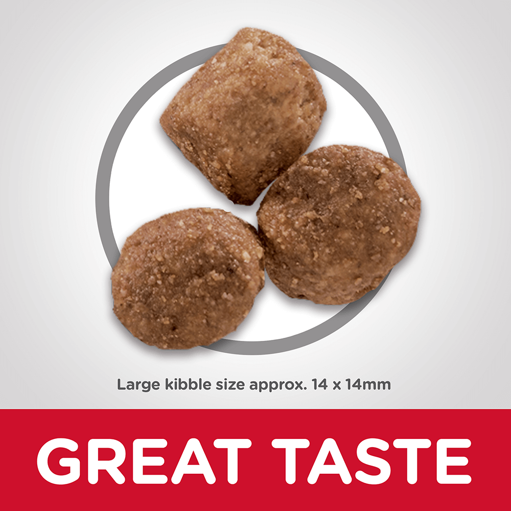 hills mobility large breed