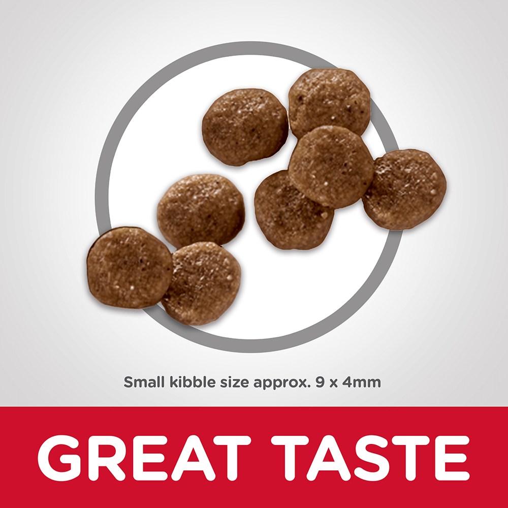 hills healthy mobility mini