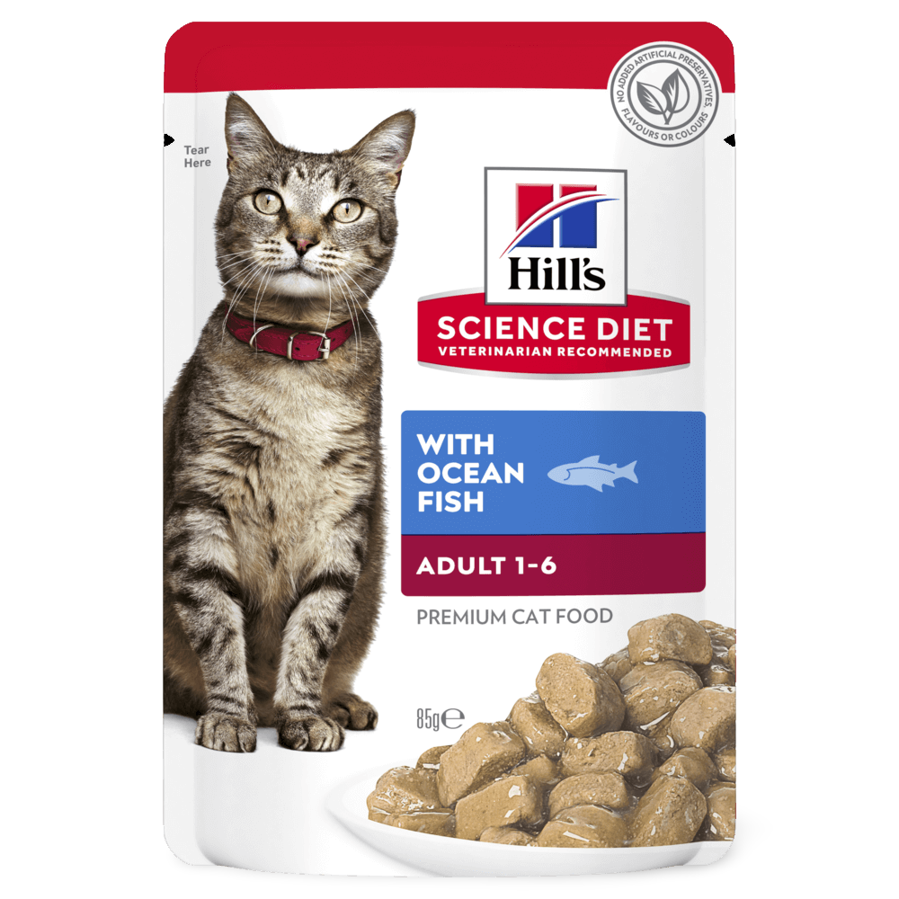 hill's science diet cat food