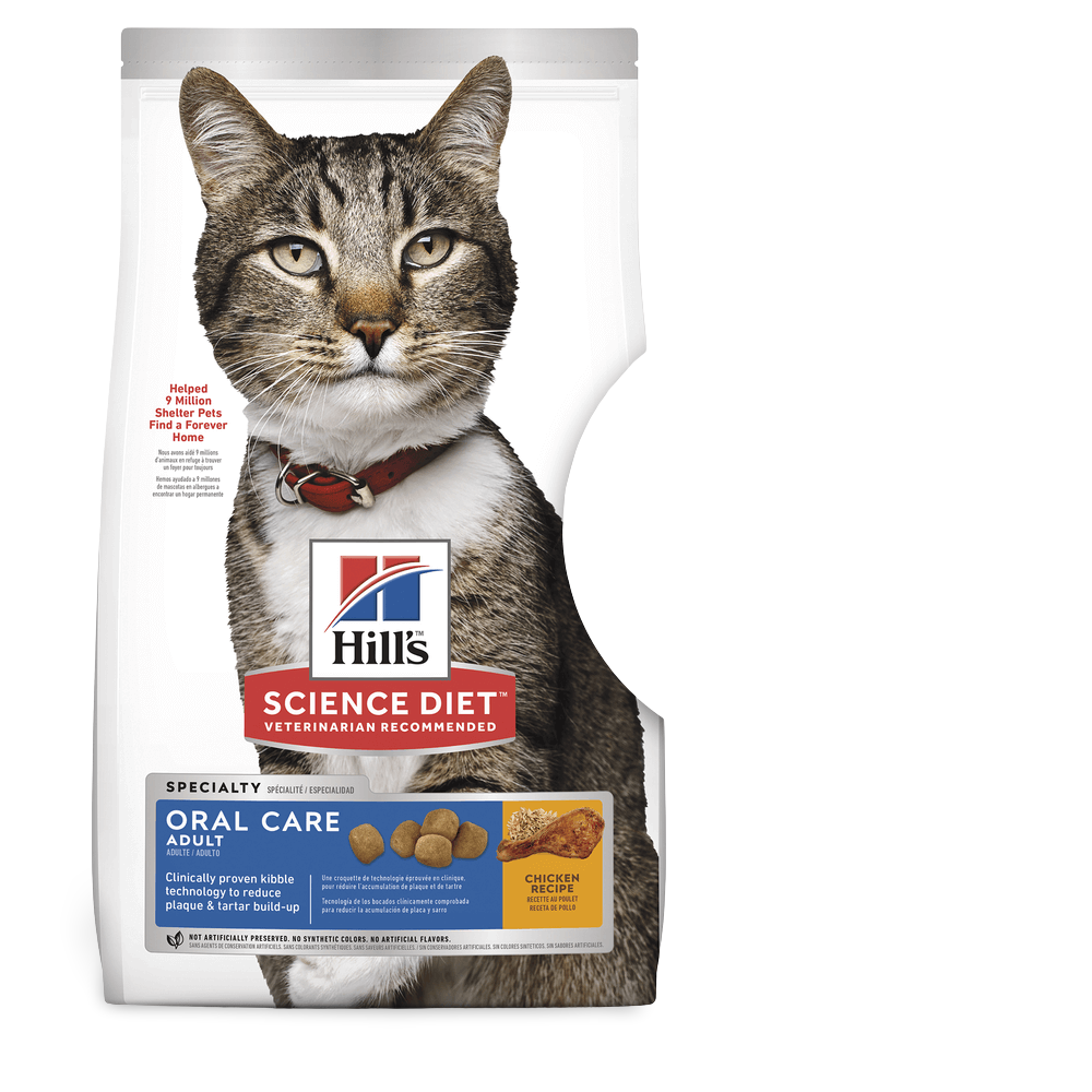 hills dental care cat