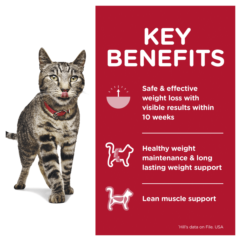 Buy Hills Science Diet Adult Perfect Weight Cat Food Pouches Online