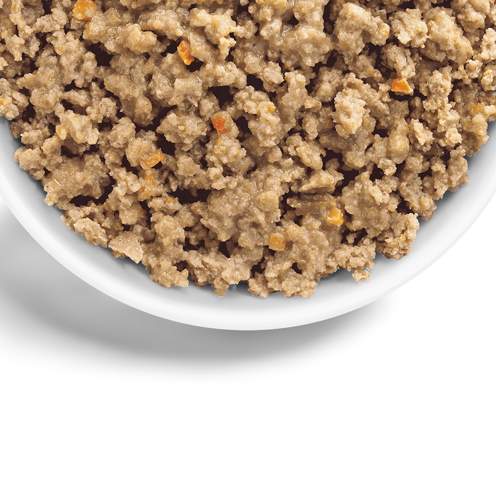 hill science diet perfect weight