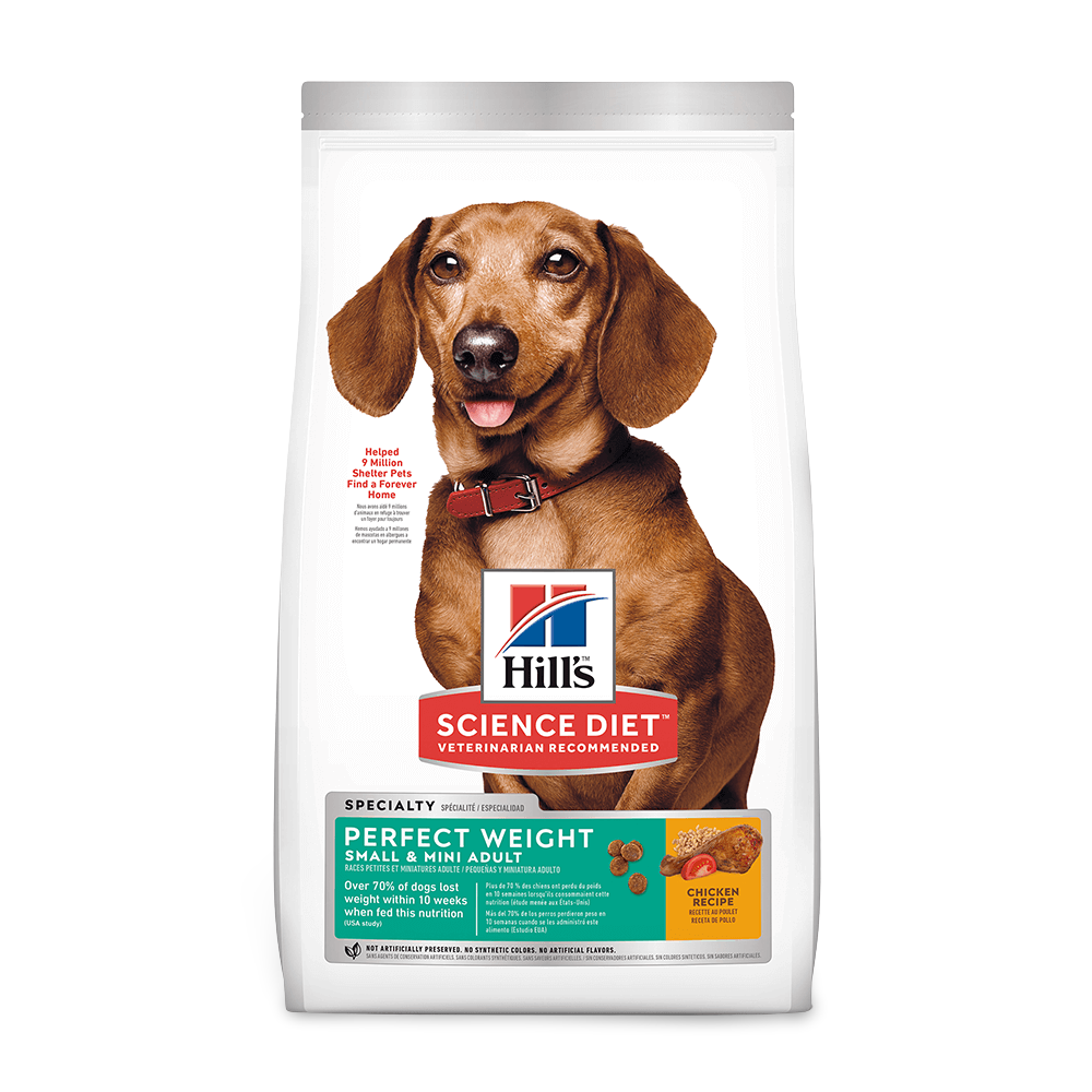 hill's science diet small dog food
