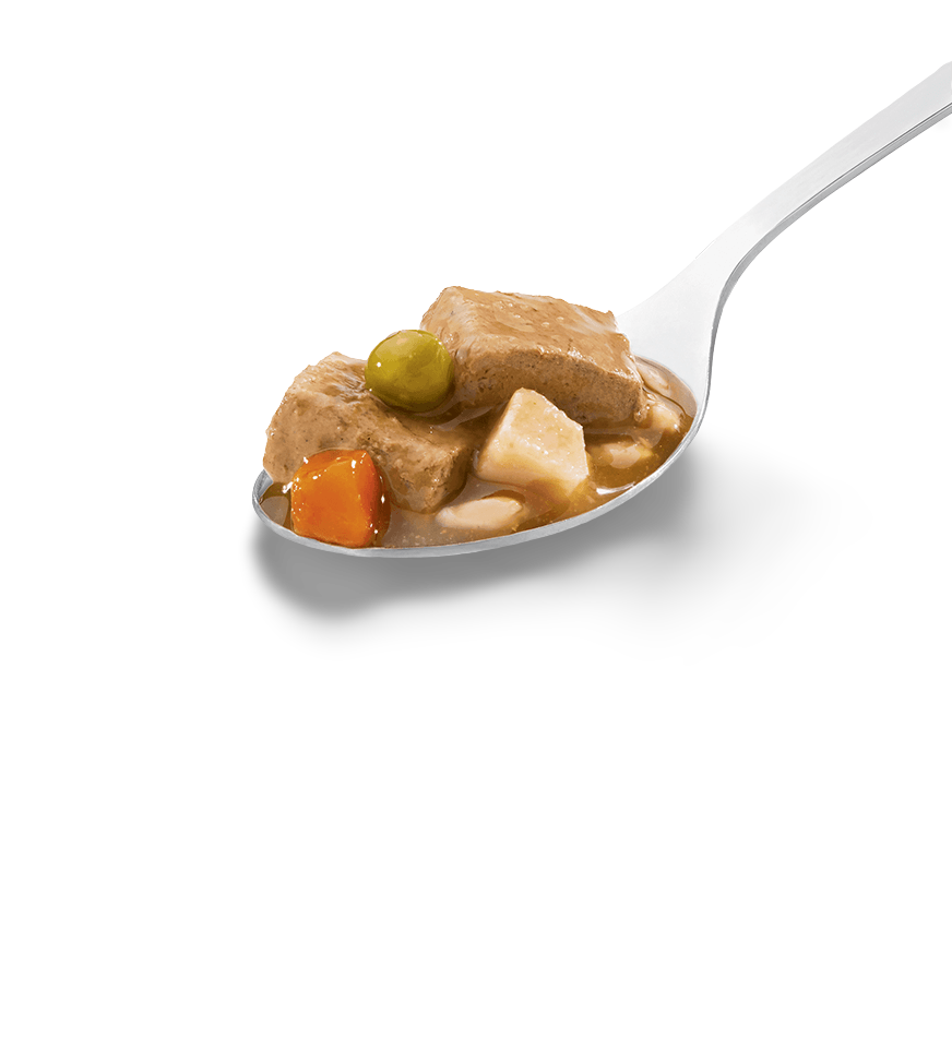 Buy Hills Science Diet Adult Savory Stew Chicken And Vegetables Canned