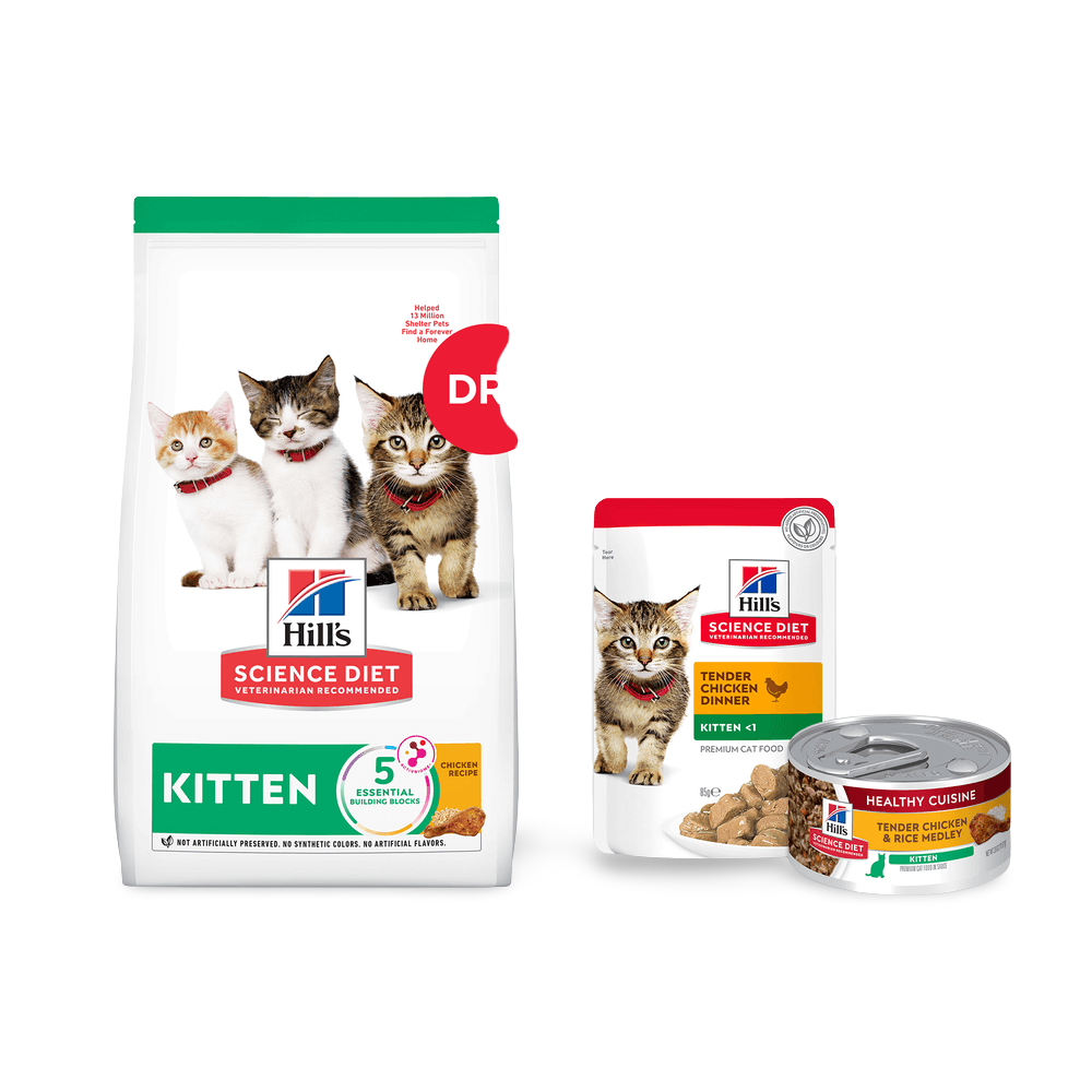 Buy Hills Science Diet Kitten Healthy Cuisine Chicken And Rice Medley