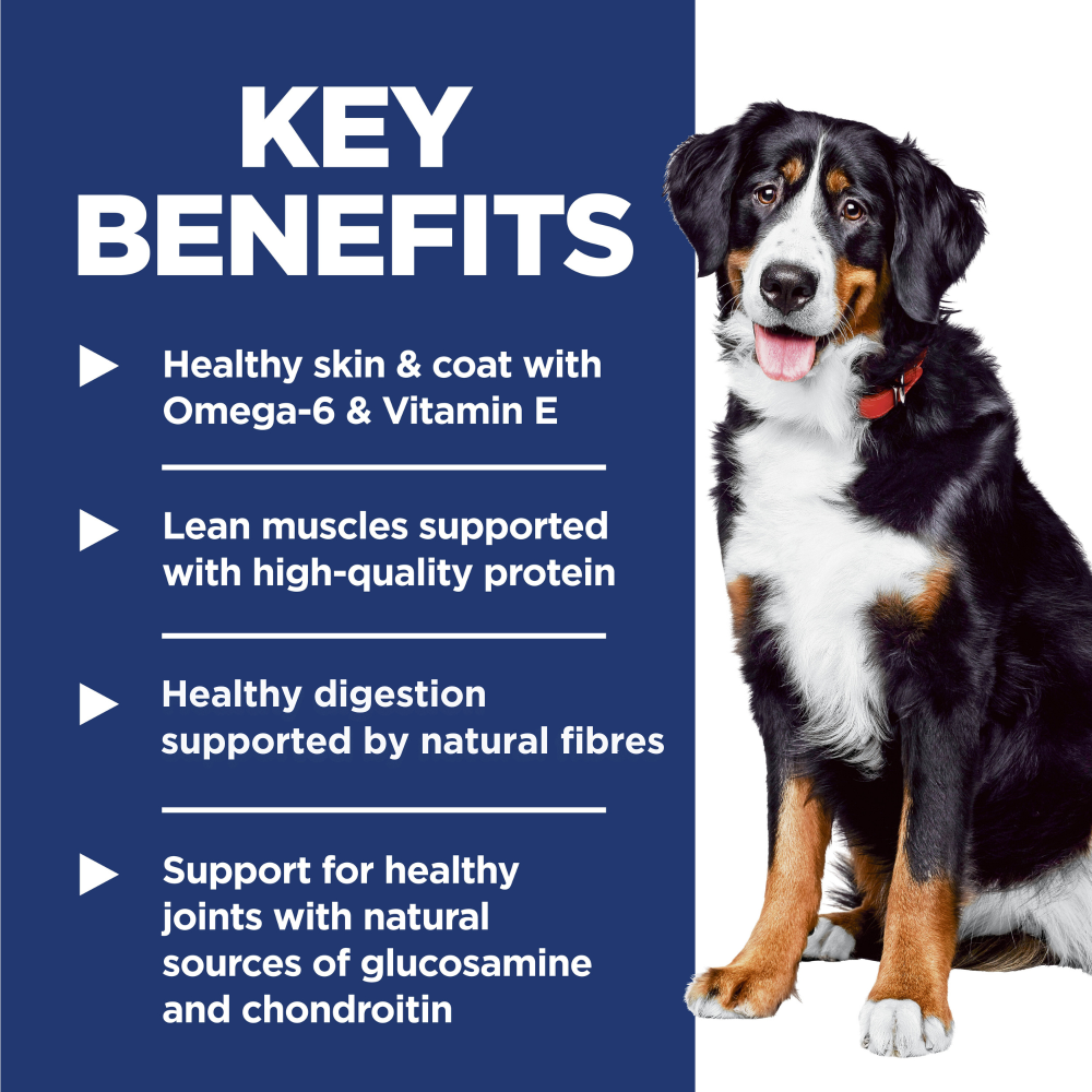 Buy Hills Science Diet Lamb Meal And Brown Rice Large Breed Dry Dog Food Online Better Prices