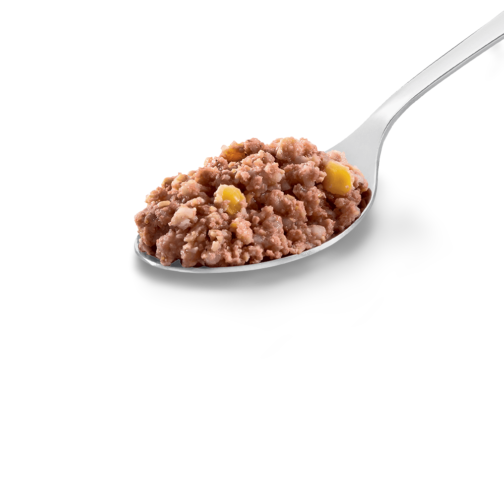 Buy Hills Science Diet Puppy Chicken And Barley Entree Canned Dog Food