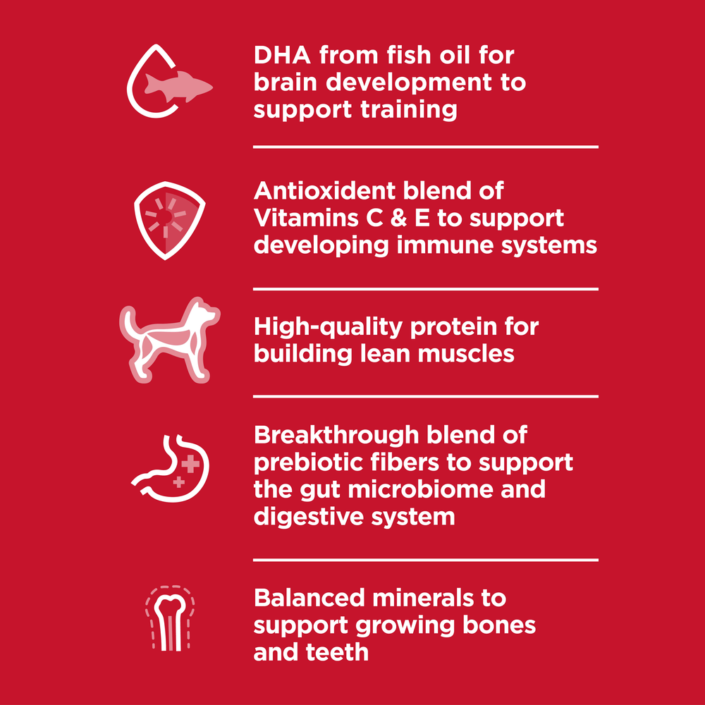 Buy Hills Science Diet Puppy Small Bites Dry Dog Food Online Better