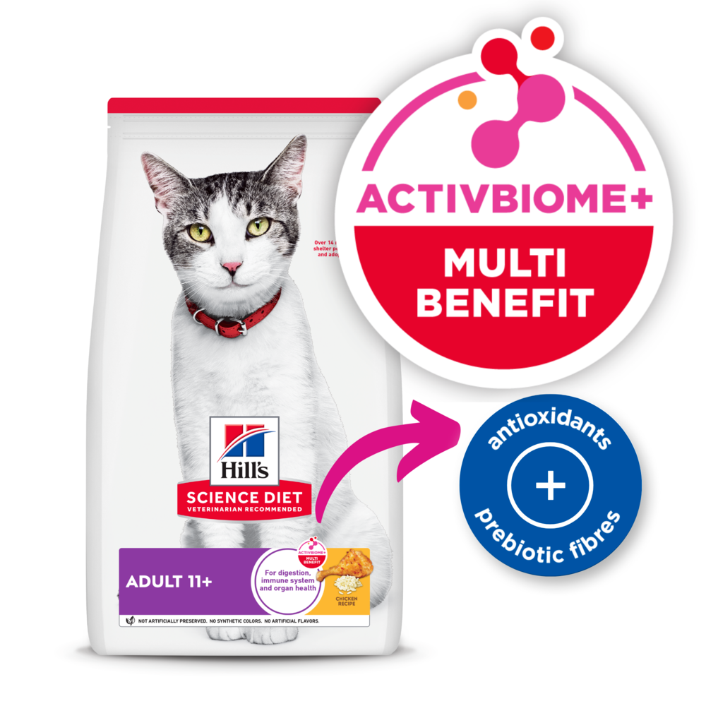 Buy Hills Science Diet Senior 11 Plus Dry Cat Food Online Better