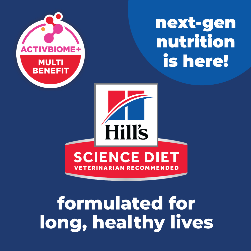 Buy Hills Science Diet Senior 11 Plus Indoor Dry Cat Food Online