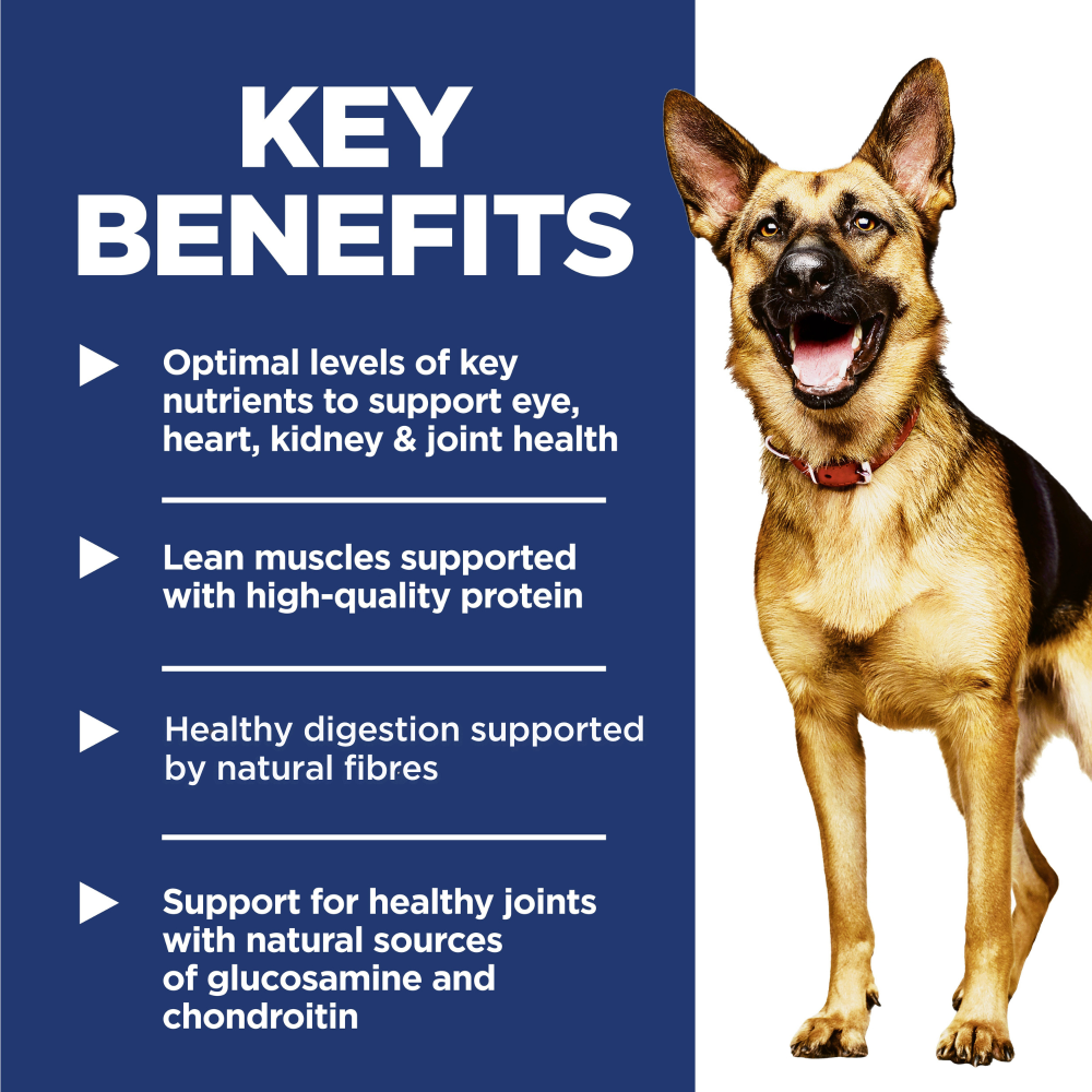 hills senior large breed
