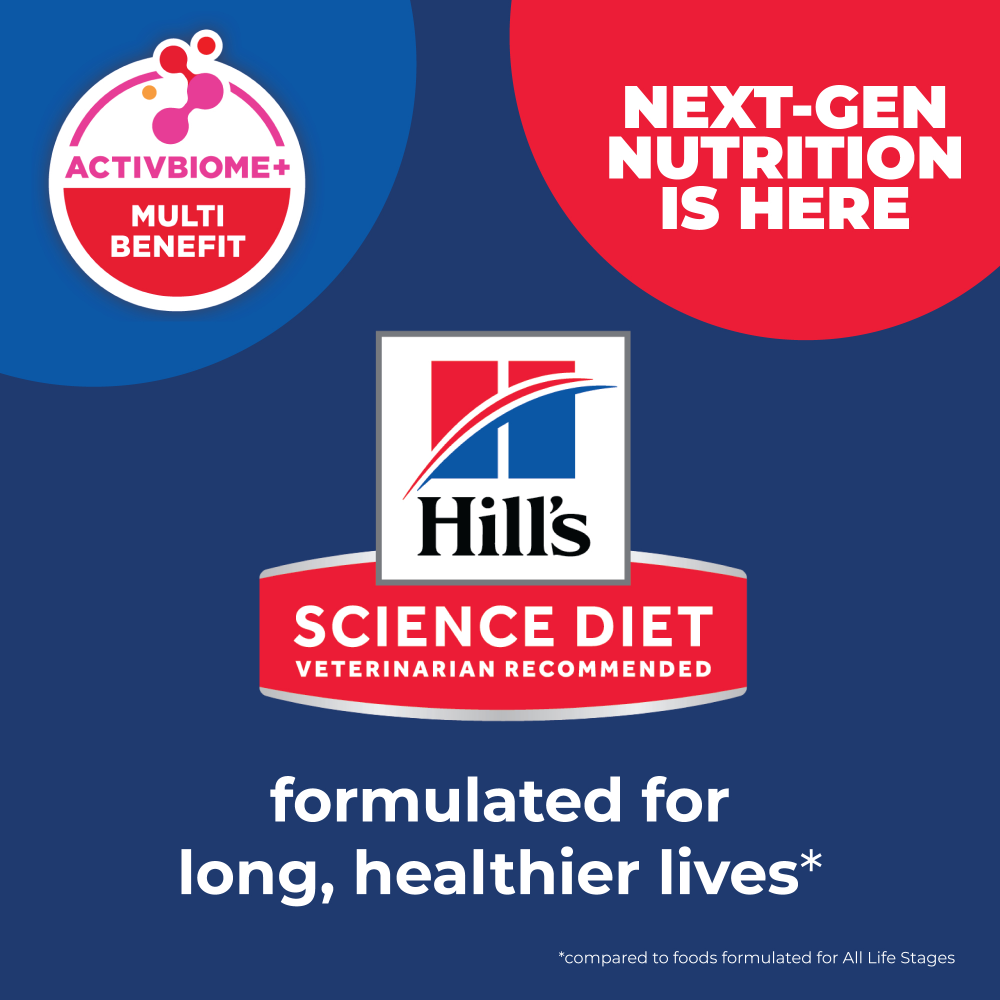 hill's science diet senior cat