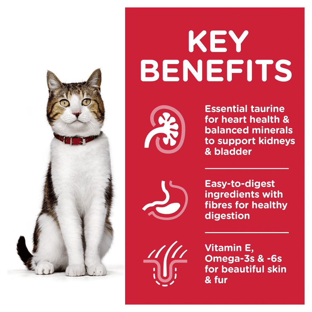 Buy Hills Science Diet Senior 7 Plus Ocean Fish Cat Food Pouches Online