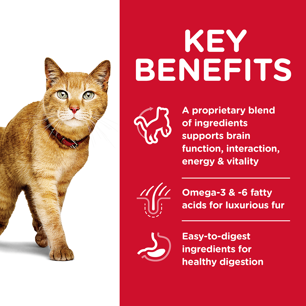 Buy Hills Science Diet Senior 7 Plus Youthful Vitality Dry Cat Food