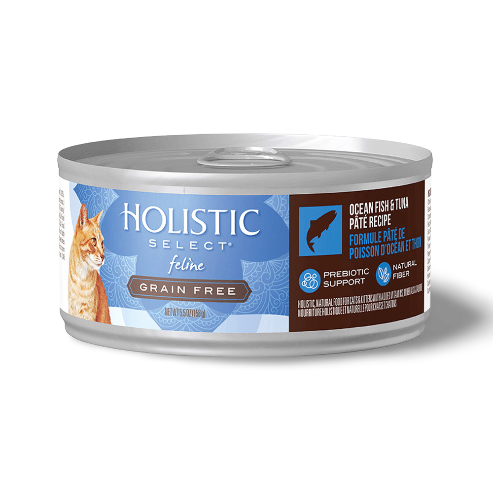 holistic select cat