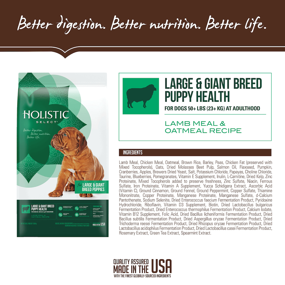 Purchase Holistic Large Breed Puppy Food Up To 66 Off
