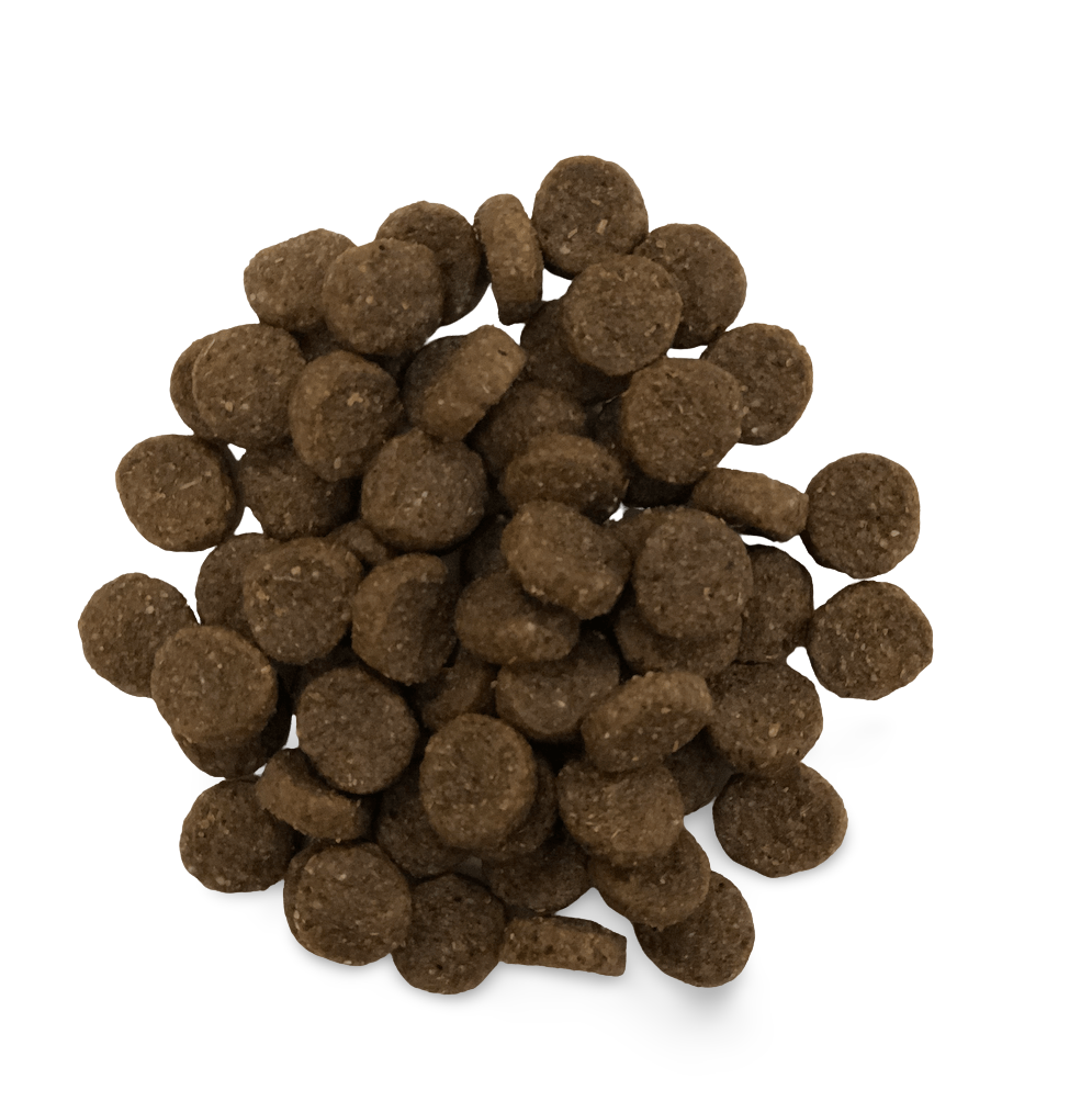 Buy Holistic Select Dry Dog Food Adult Large Giant Breed Online Low