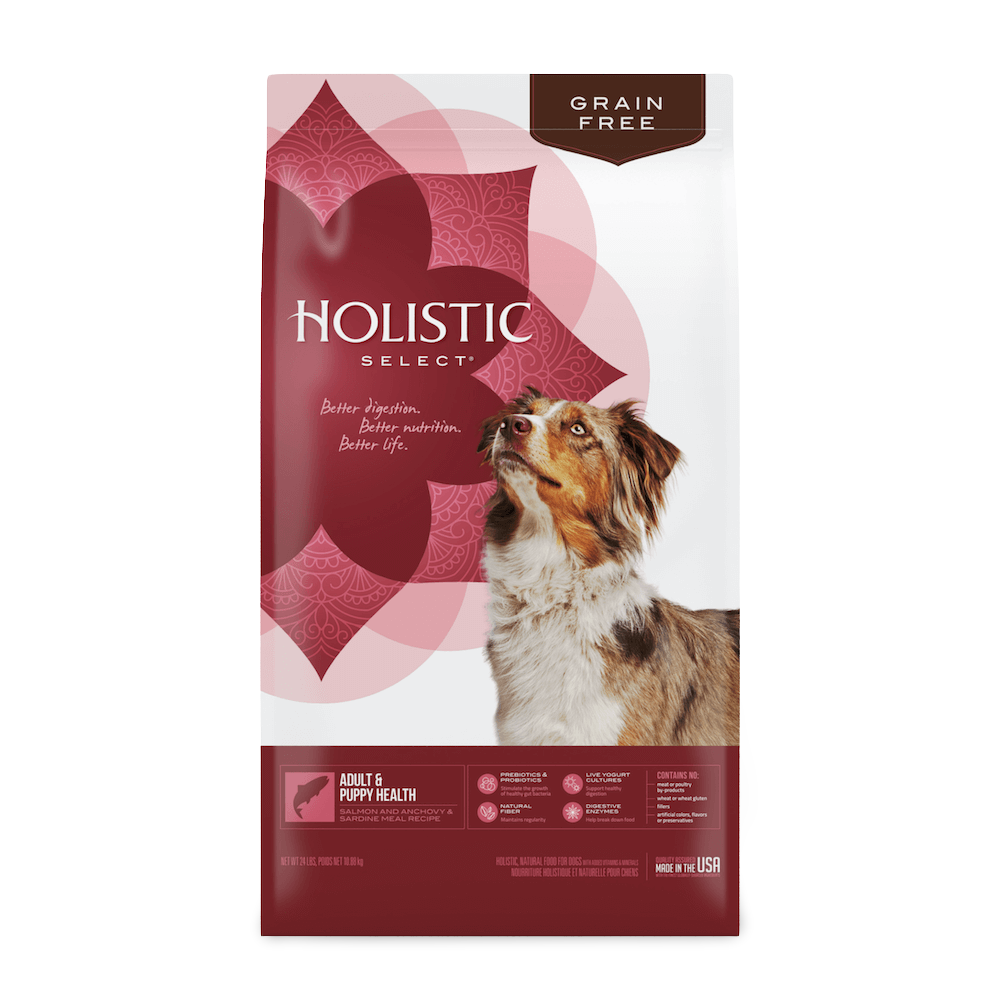 holistic dog biscuits