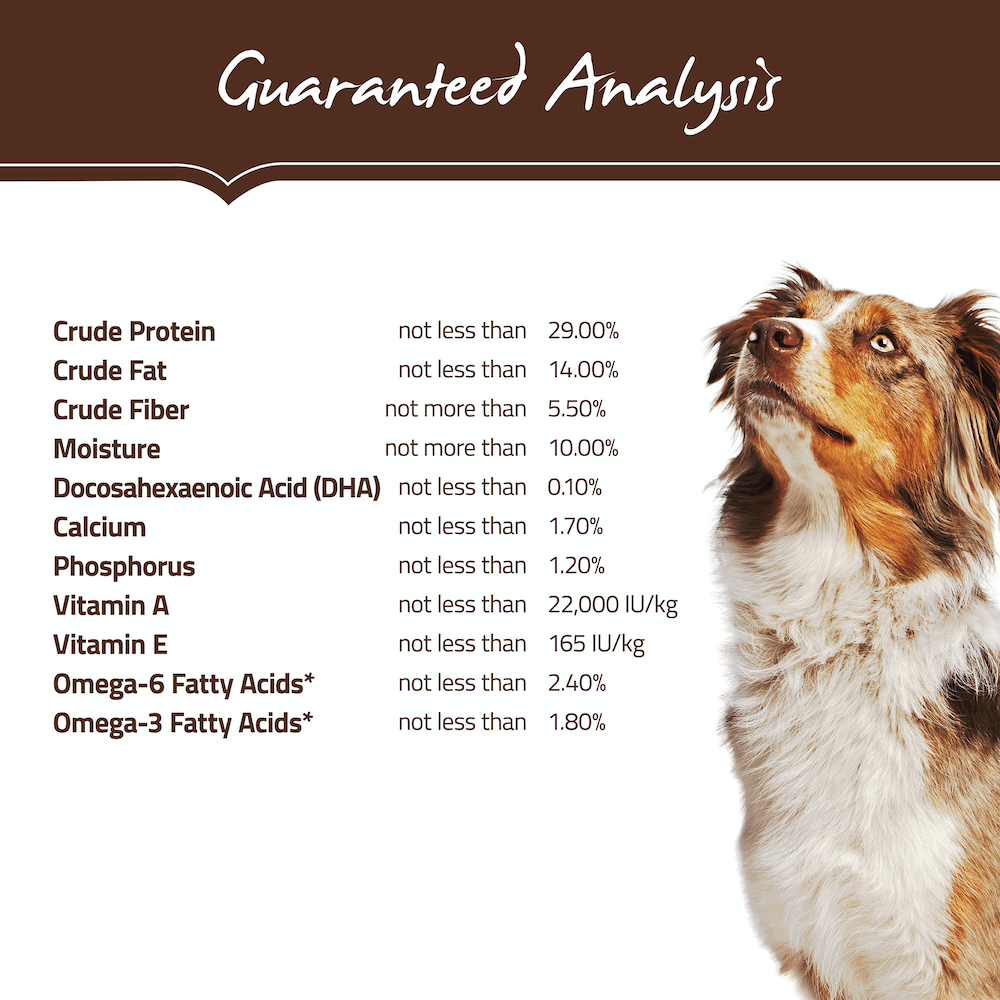 holistic select senior