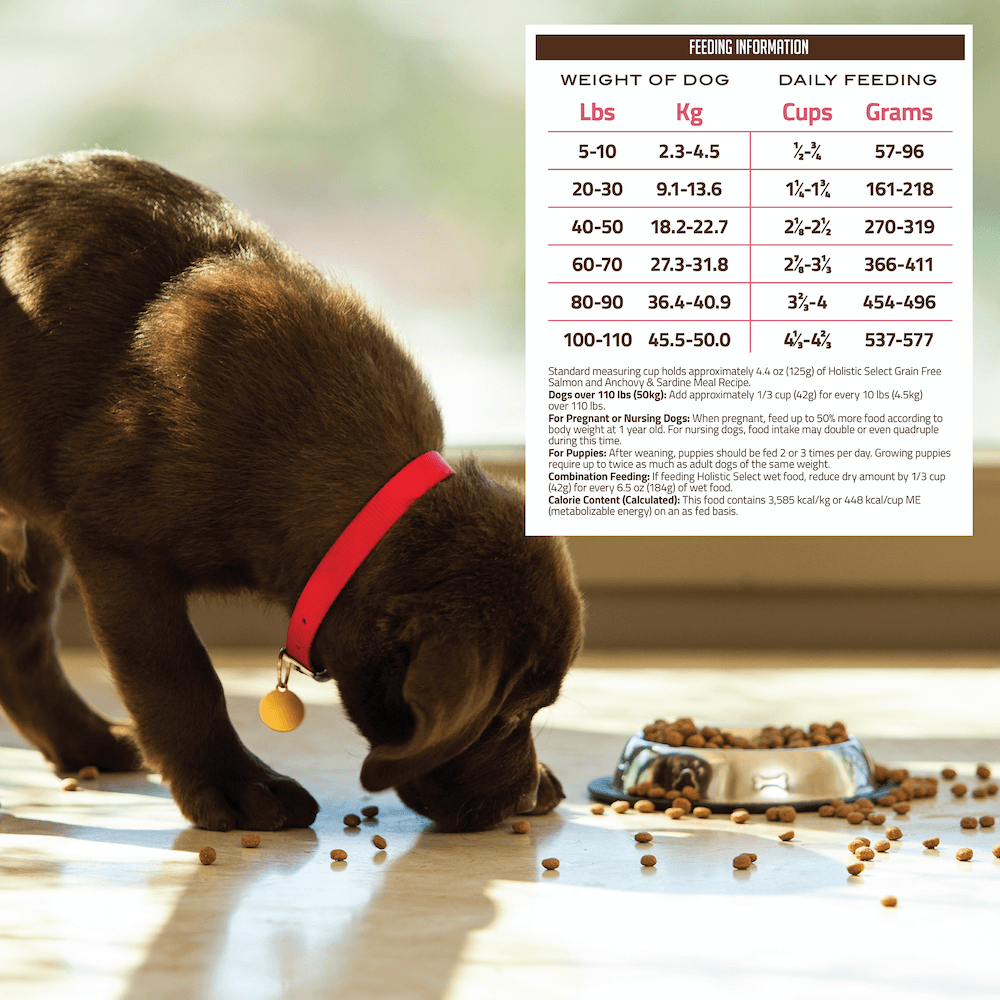 holistic select salmon