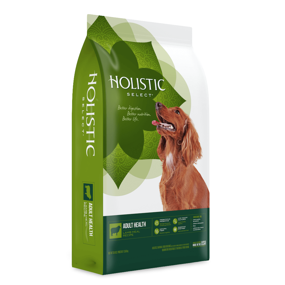 Buy Holistic Select Dry Dog Food Lamb And Rice Online Low Prices, Free Shipping