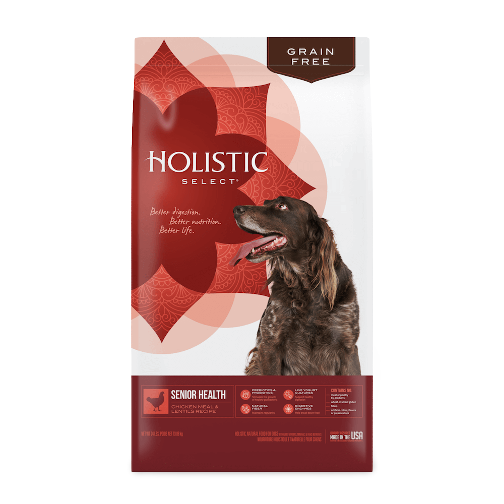 Buy Holistic Select Dry Dog Food Senior Chicken And Lentils Online
