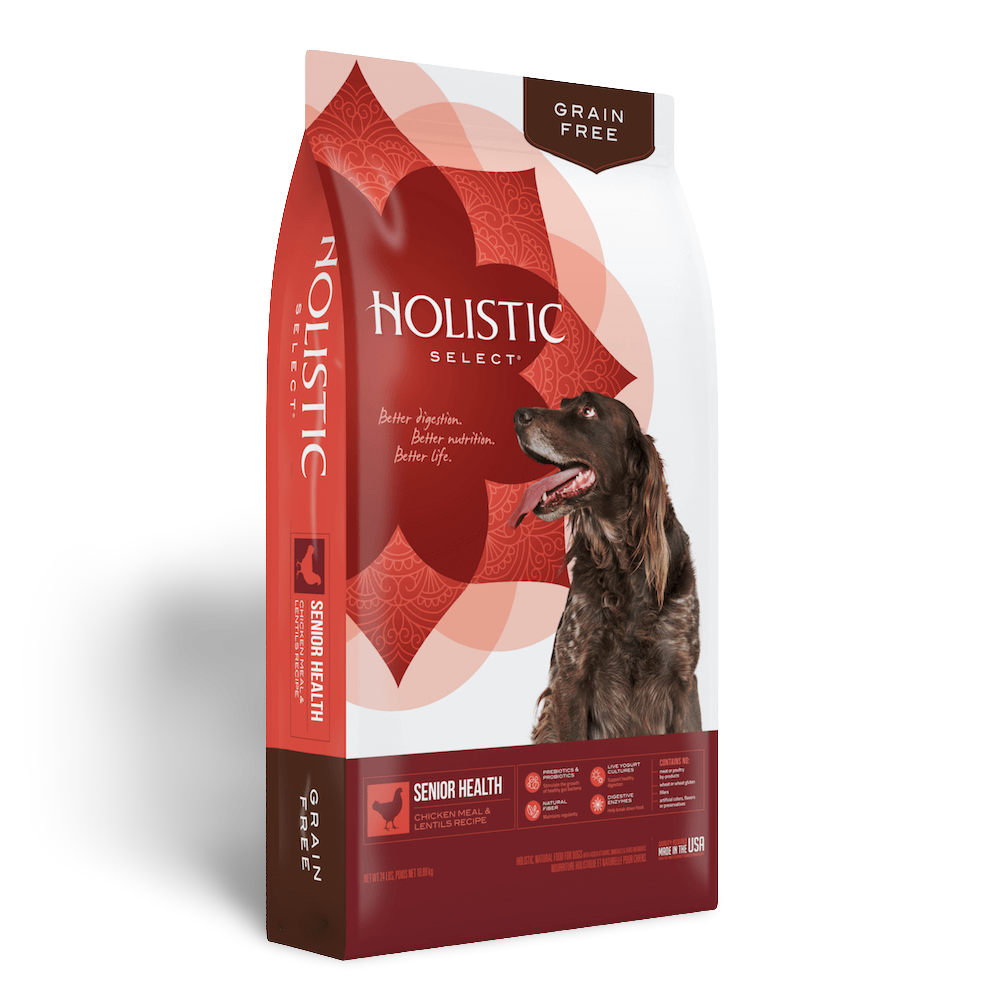 Buy Holistic Select Dry Dog Food Senior Chicken And Lentils Online
