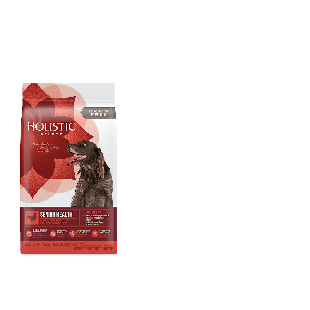Buy Holistic Select Dry Dog Food Senior Chicken And Lentils Online