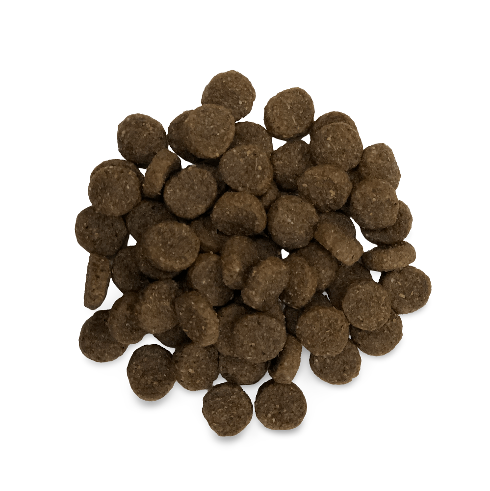 holistic select grain free