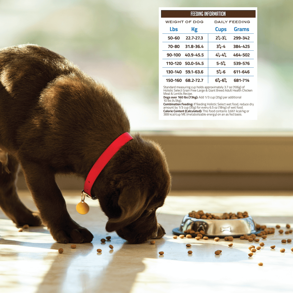 holistic select puppy