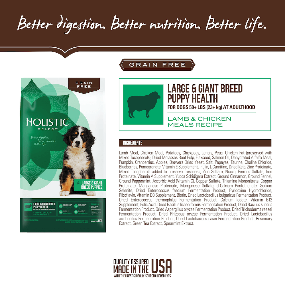 Buy Holistic Select Grain Free Dry Dog Food Puppy Large Giant Breed