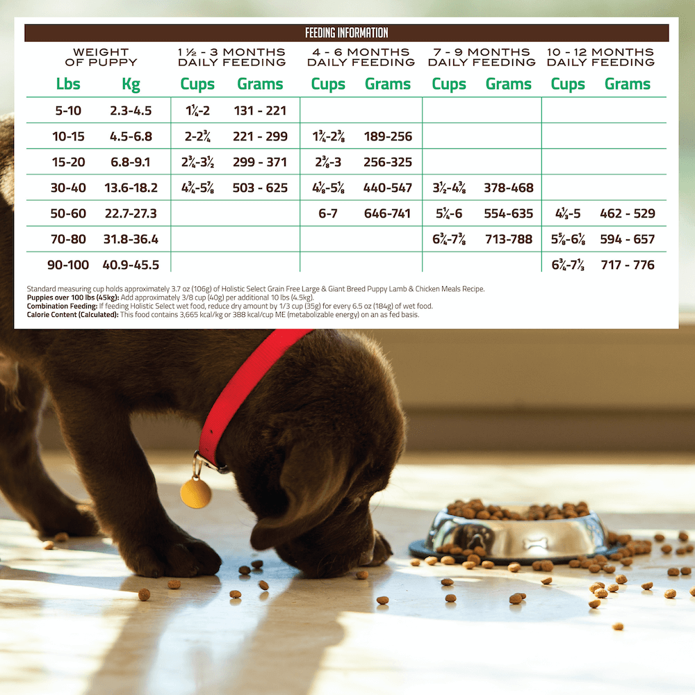 Buy Holistic Select Grain Free Dry Dog Food Puppy Large Giant Breed