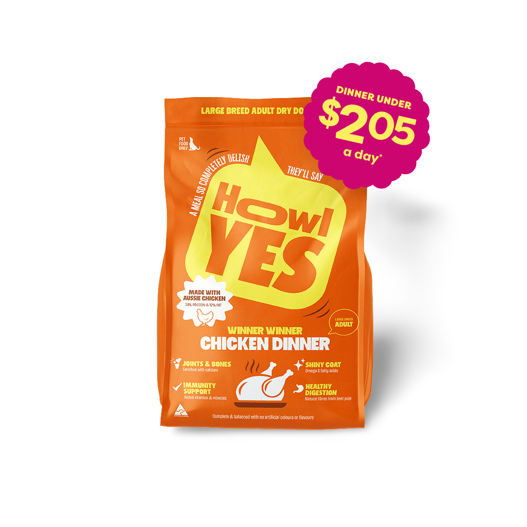 Buy Howl Yes Adult Large Breed Chicken Dry Dog Food Online Low Prices