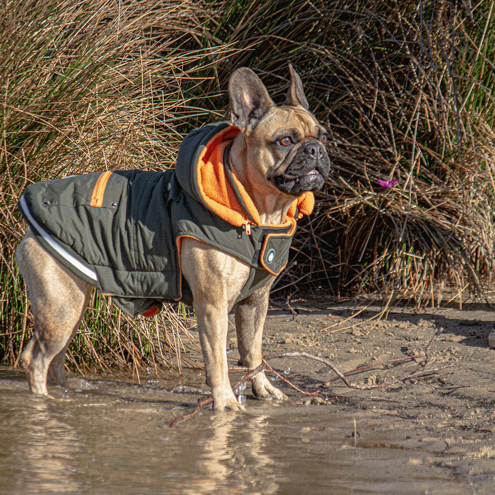 Huskimo dog jumpers australia Clearance