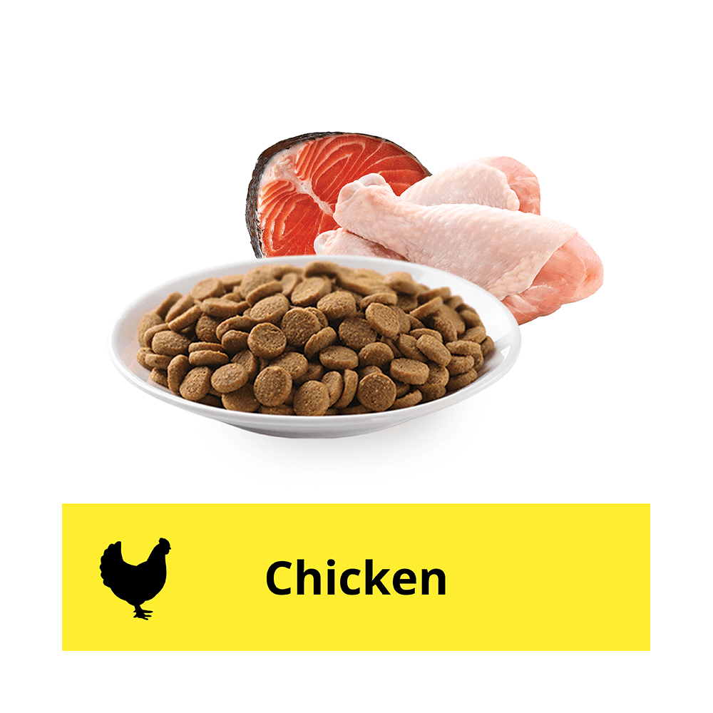 Buy Iams Dry Cat Food Adult Multi Cat Chicken And Salmon Online Low