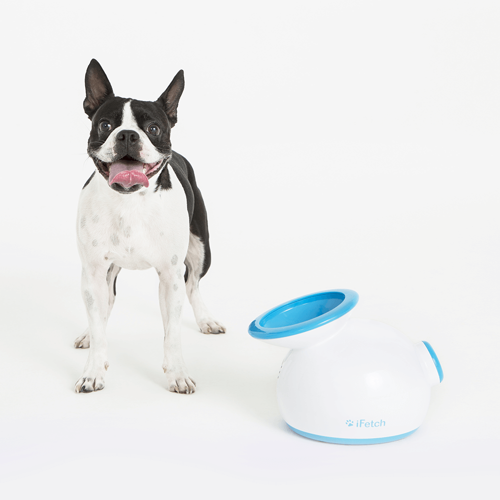 Buy Ifetch Original Ball Launcher Online Better Prices At Pet Circle