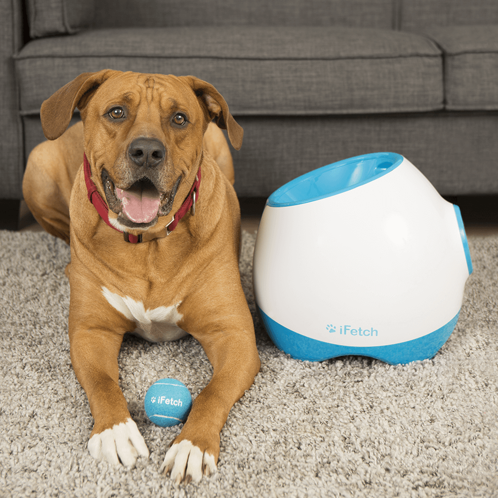 ifetch too interactive ball launcher for dogs