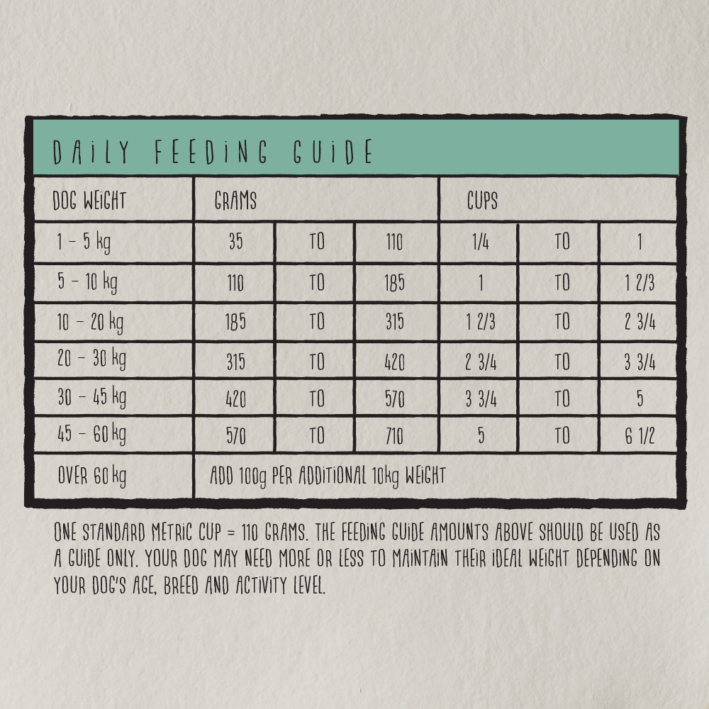 Buy Instinctive Bite Original Adult Dry Dog Food Chicken Brown Rice